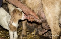 /album/fotogaleria/img-1748-masolata-jpg/